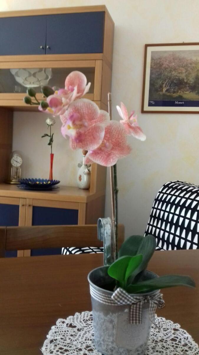 Villa Ramella Baveno Kültér fotó